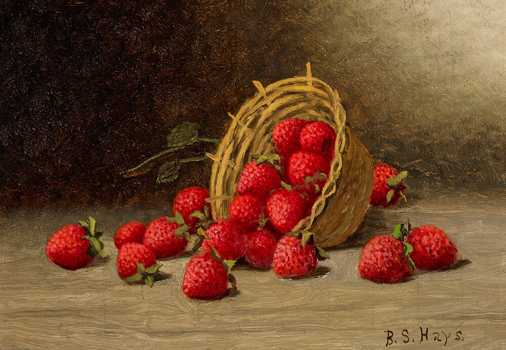 strawberry stories #2